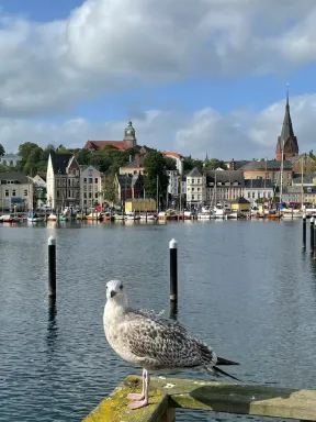 Foto einer Stadt in Schleswig-Holstein .